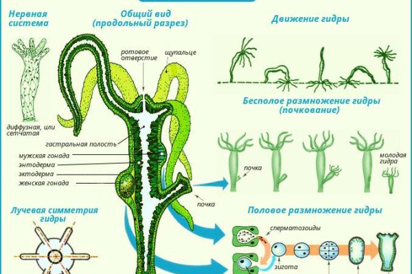 Актуальные ссылки кракен на 2025